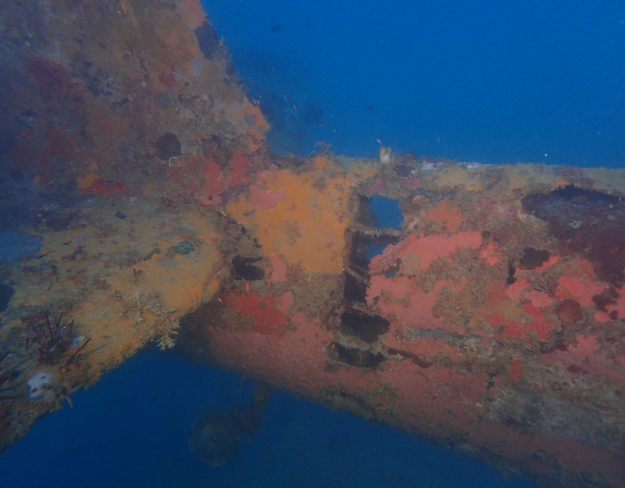 Hayabusa Nakajima Planewreck - Dugong Dive Center